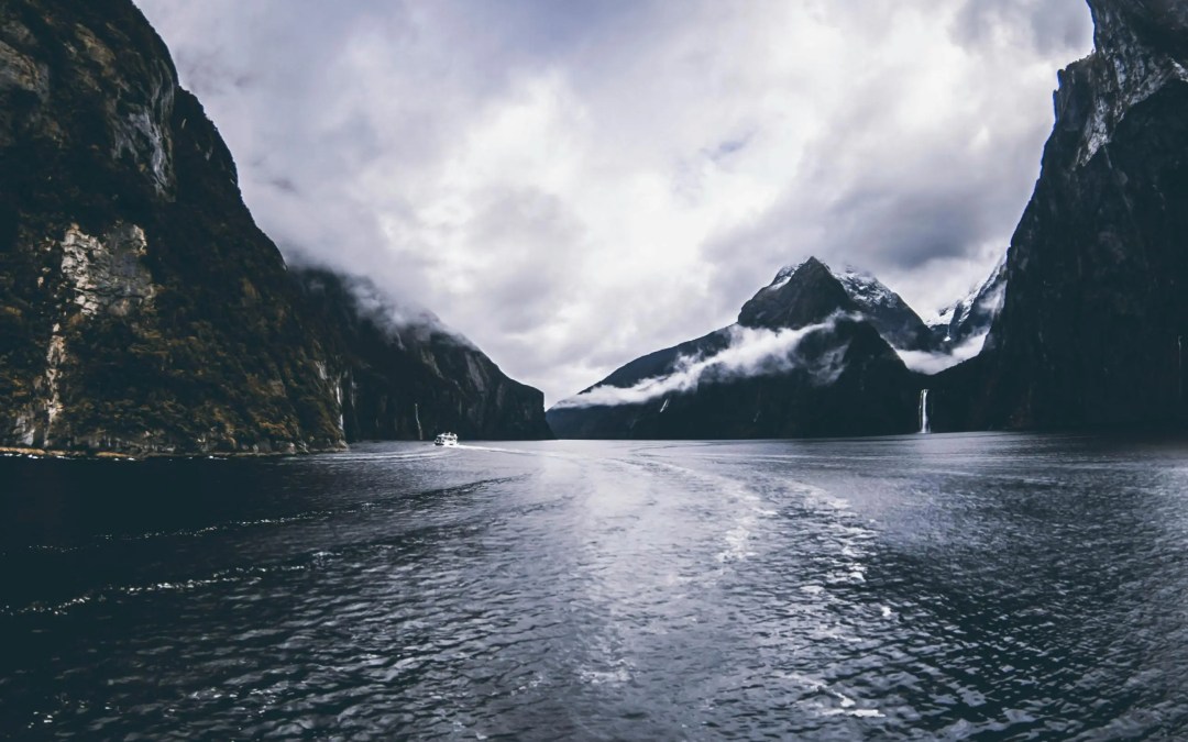 Ultimate guide to NZSE, New Zealand